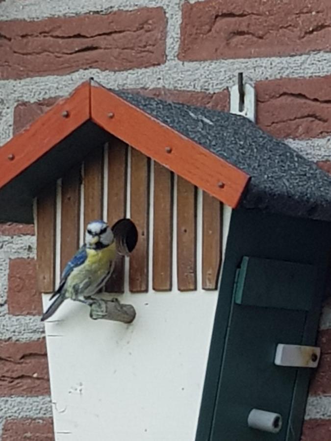 Walvisch Van Ghyspe Wormer Bagian luar foto
